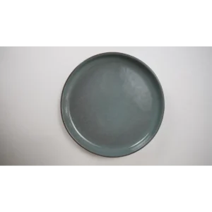 Light Green Dinner Plate