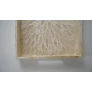 Small Beige Star Shell Tray Set
