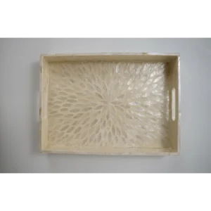 Large Beige Star Shell Tray Set